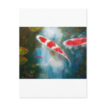 Kohaku Koi Post Cards