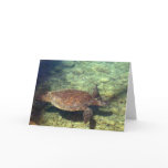 Kohala Sea Turtle Cards