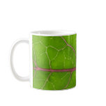 Kohlrabi Leaf ~ mug