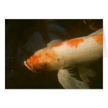 Koi Card