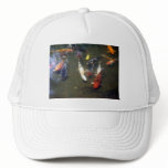 Koi Carp Hat