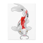 koi carp postcards