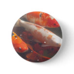 Koi Fish buttons