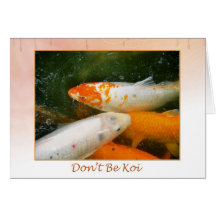 Koi Fish Cards