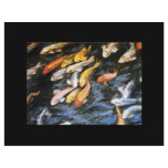 Koi Fish Flyer