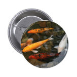 Koi Fish In Pond Photograph Pin
