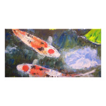 Koi Fish Pond