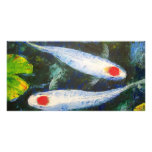 Koi Fish Tancho Kohaku photo cards