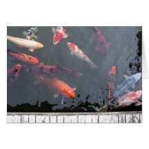 Koi Greeting Card