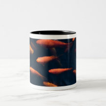 Koi Mug