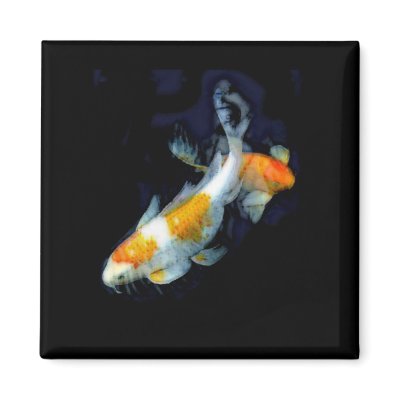 Koi Pair Fridge Magnets by Mindspins