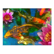 koi play , poscard postcard