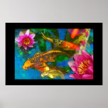 Koi play,poster