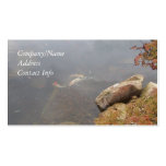 Koi Pond Business Cards
