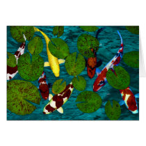 KOI POND