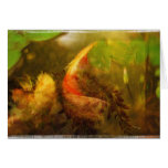 Koi pond collage - Card