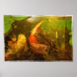 Koi pond collage - Print
