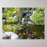Koi Pond with Waterfall Poster