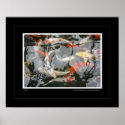 Koi posters