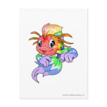 Koi Rainbow postcards