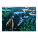 Koi with Monstera cards