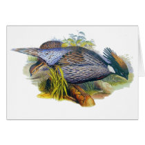 Koklass Pheasant Card