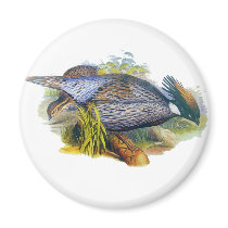 Koklass Pheasant Fridge Magnet
