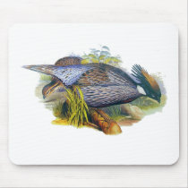 Koklass Pheasant Mousepad