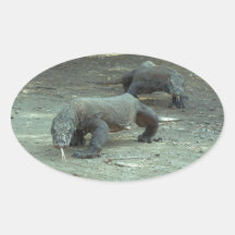 Komodo Dragon Sticker