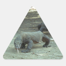 Komodo Dragon Sticker