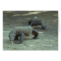 Komodo Dragons Greeting Card