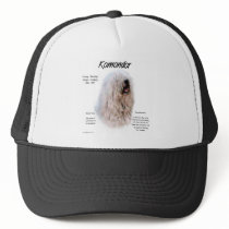 Komondor History Design