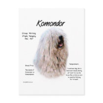 Komondor History Design