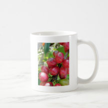Kona Coffee -  Cherries Mugs