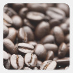 Kona Purple Mountain organic coffee beans Square Stickers