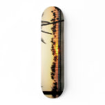 Kona Sunset  board skateboards