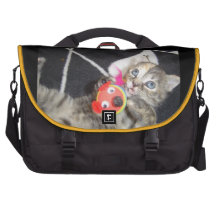 Konfoozled Kitty