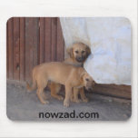 Koochee Dogs Mousepad