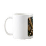 Kookaburra 9Y172D-002 Coffee Mug