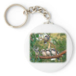 Kookaburra 9Y172D-004 Key Chains