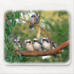 Kookaburra 9Y172D-004 mousepads