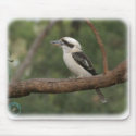 Kookaburra 9Y180D-182 mousepads