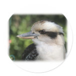 Kookaburra 9Y210D-008 Round Sticker