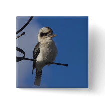 Kookaburra Pinback Buttons