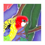 Kookaburra, Cockatoo & Parrot T-Shirts and Gifts!