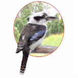 Kookaburra in Circle photo sculptures