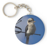 Kookaburra Keychains