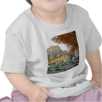 Korean War Memorial veterans Shirts