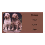 Korthals Griffon - presenting Tsjip and Sarah photo cards
