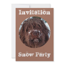 Korthals Griffon - Snowy Sarah Personalized Invites